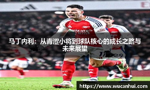 马丁内利：从青涩小将到球队核心的成长之路与未来展望